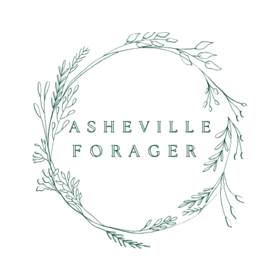 Testimonial Website Asheville Forager 900x900